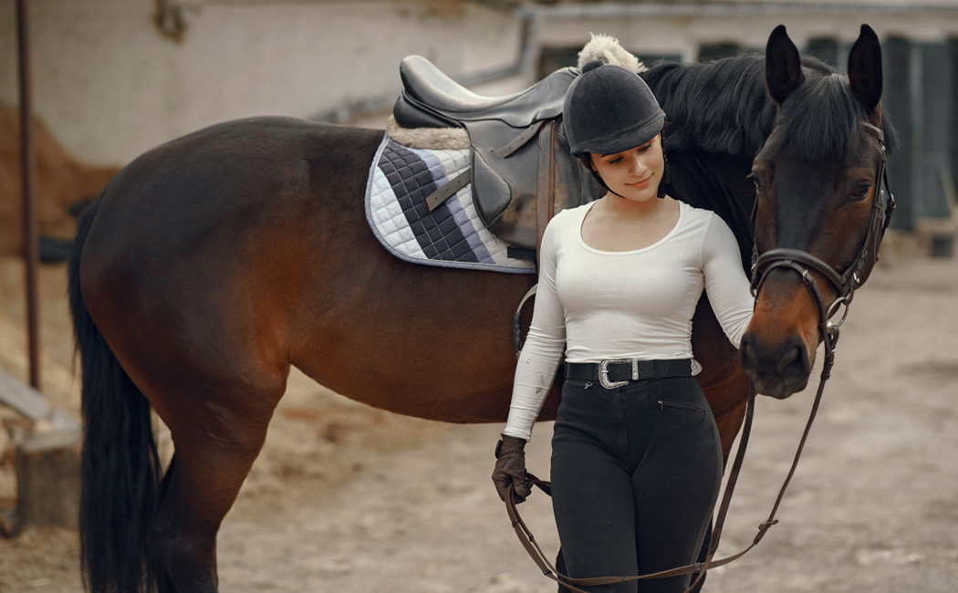 Buy Your Perfect Horse