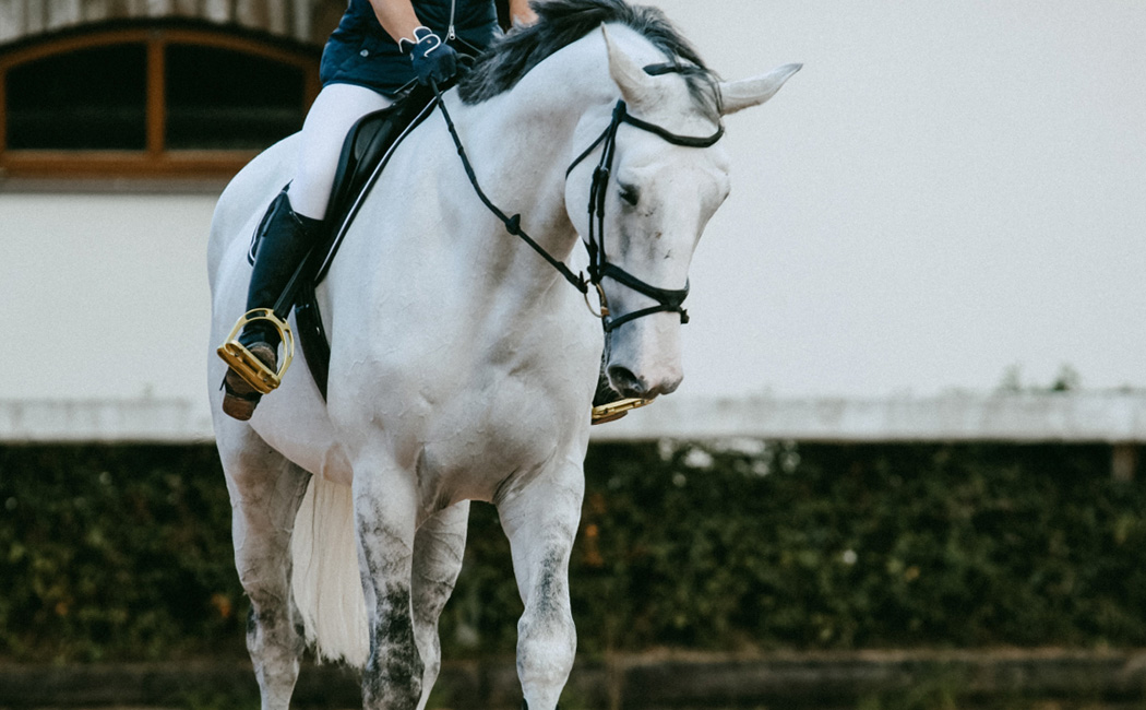 List Your Breeding Program